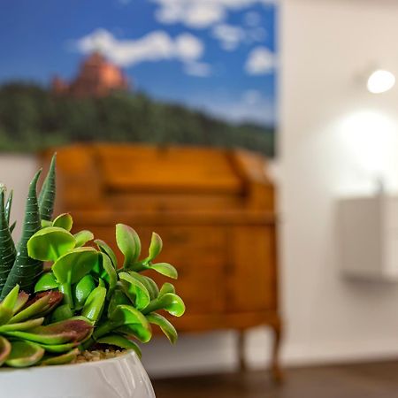 Righi Suite Apartment Bologna Kültér fotó